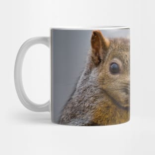 Grey Squirrel Mug